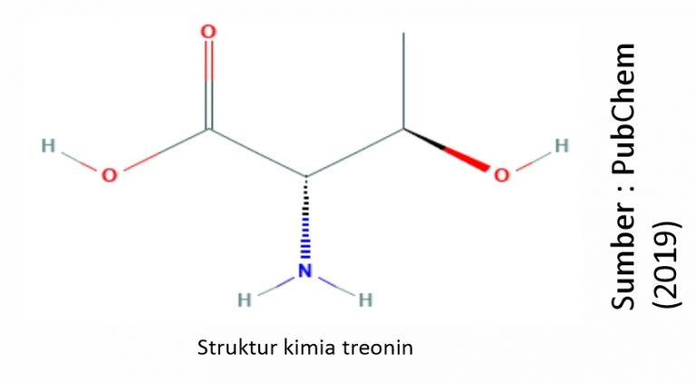 Mengenal Asam Amino Treonin Medion Farma 9229