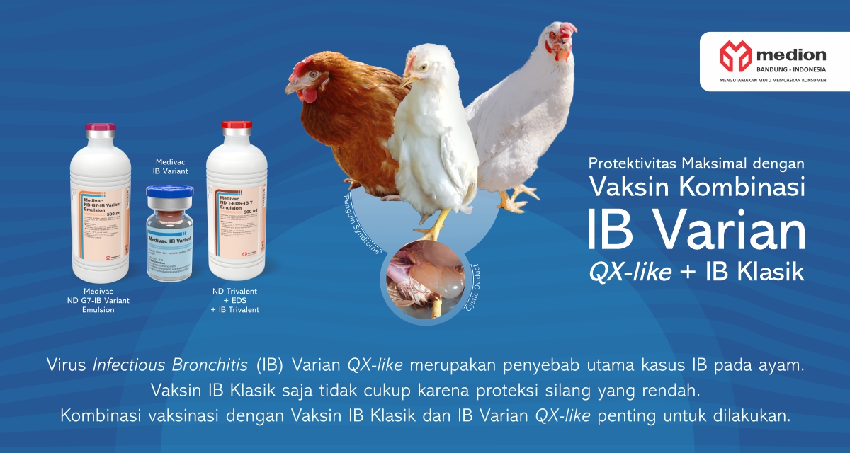 IKLAN FAMILY IB WEB AH RESA GRA24110151 FIN DN