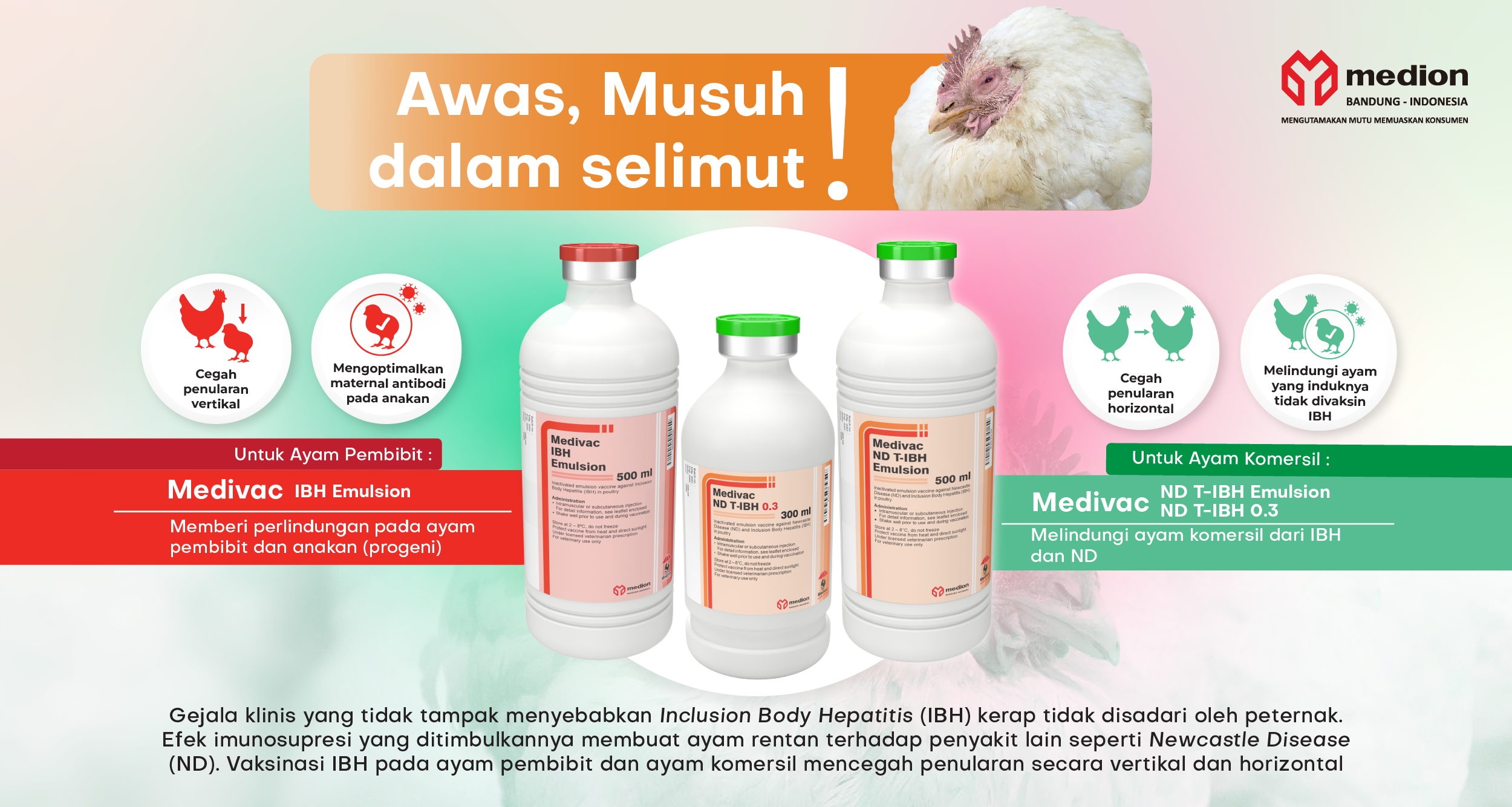 IKLAN FAMILY IBH WEB AH TARI GRA24110185 ID-01